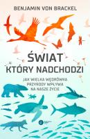 Świat, który nadchodzi. Autor: Katarzyna Łakomik. SmakLiter.pl Okładka książki Świat, który nadchodzi