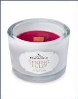 Świeczka sojowa Spring Tulip biała 170g. Wydawca: Pavoncella. SmakLiter.pl Opakowanie Świeczka sojowa Spring Tulip biała 170g