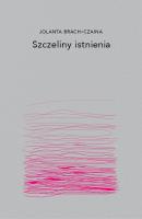 Szczeliny istnienia. Autor: Brach-Czaina Jolanta. SmakLiter.pl Okładka książki Szczeliny istnienia