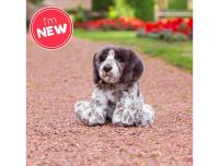 Opakowanie Szczeniak Pointer