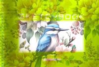 Opakowanie Szkicownik A5/40K koło gładki Zimorodek FRESH