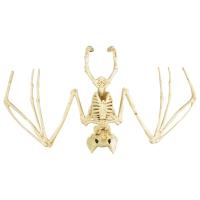 Opakowanie Szkielet nietoperza