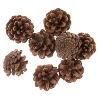 Szyszki 8szt. Wydawca: Dalprint. SmakLiter.pl Opakowanie Szyszki 8szt