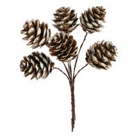 Opakowanie Szyszki na druciku