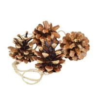 Opakowanie Szyszki naturalne 4szt