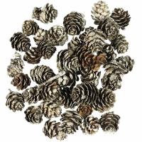 Opakowanie Szyszki ośnieżone