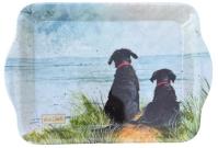 Opakowanie Taca kuchenna mała Psy na wydmach