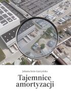 Tajemnice amortyzacji. Autor: Iwin-Garzyńska Jolanta. SmakLiter.pl Okładka książki Tajemnice amortyzacji