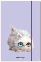 Teczka A4 FUN Kotek zamykana na gumkę 10 sztuk. Wydawca: Narcissus. SmakLiter.pl Opakowanie Teczka A4 FUN Kotek zamykana na gumkę 10 sztuk