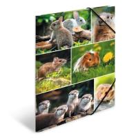 Opakowanie Teczka A4 gumki narożne - Gryzonie