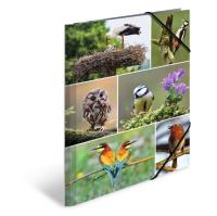 Opakowanie Teczka A4 gumki narożne - Ptaki