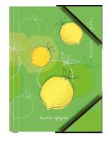 Teczka A4 kartonowa z gumką narożną cytryna (6szt). Wydawca: TETIS. SmakLiter.pl Opakowanie Teczka A4 kartonowa z gumką narożną cytryna (6szt)