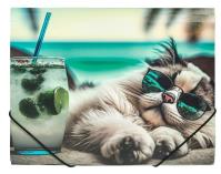 Teczka A4 PP na gumkę z nadrukiem Chillout Cat. Wydawca: Centrum. SmakLiter.pl Opakowanie Teczka A4 PP na gumkę z nadrukiem Chillout Cat