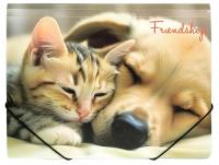 Teczka A4 PP na gumkę z nadrukiem Friendship. Wydawca: Centrum. SmakLiter.pl Opakowanie Teczka A4 PP na gumkę z nadrukiem Friendship