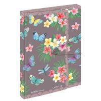 Opakowanie Teczka A4 PP z gumką 4cm Ladylike Butterfly