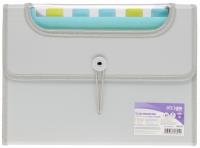 Opakowanie Teczka A4 Vfile z 12 przekładkami szara STRIGO