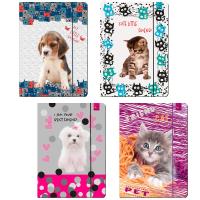 Opakowanie Teczka A4 z gumką best friend 8 szt. Mix