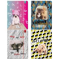 Opakowanie Teczka A4 z gumką Best Friend zwierzaki mix