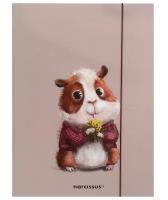 Teczka A4 z gumką Chomik. Wydawca: Narcissus. SmakLiter.pl Opakowanie Teczka A4 z gumką Chomik