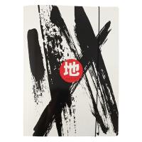 Opakowanie Teczka A4 z gumką Daichi (10szt)