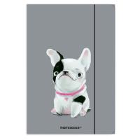 Teczka A4 z gumką FUN Pies 10 sztuk. Wydawca: Narcissus. SmakLiter.pl Opakowanie Teczka A4 z gumką FUN Pies 10 sztuk