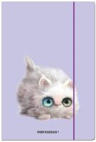 Teczka A4 z gumką Kotek. Wydawca: Narcissus. SmakLiter.pl Opakowanie Teczka A4 z gumką Kotek