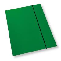 Teczka A4 z gumką lakier zielona 350gsm (10szt). Wydawca: PENWORD. SmakLiter.pl Opakowanie Teczka A4 z gumką lakier zielona 350gsm (10szt)