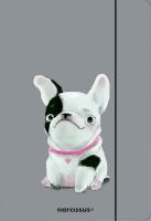 Teczka A4 z gumką Pies. Wydawca: Narcissus. SmakLiter.pl Opakowanie Teczka A4 z gumką Pies