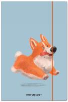 Teczka A4 z gumką Piesek. Wydawca: Narcissus. SmakLiter.pl Opakowanie Teczka A4 z gumką Piesek