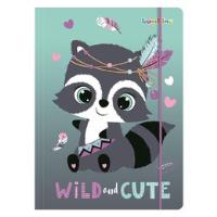 Opakowanie Teczka A4 z gumką Racoon paczka 10 szt.