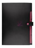 Opakowanie Teczka plastikowa A4 z 5 przegródkami czarna