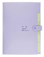 Opakowanie Teczka plastikowa A4 z 5 przegródkami fioletowa