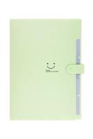 Opakowanie Teczka plastikowa A4 z 5 przegródkami zielona