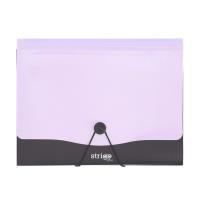 Opakowanie Teczka Vfile A4 z 13 przekładkami liliowa STRIGO