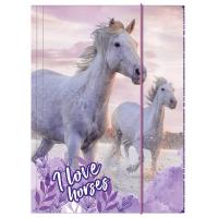 Opakowanie Teczka z gumką A4 Konie 25 DERFORM