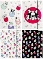 Opakowanie Teczka z gumką A4 Minisy