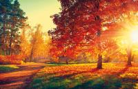 Opakowanie Terminarz 2021 Ścienny MiP