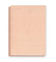 Opakowanie Terminarz 2024 A5 dzienny - wkładka złocona