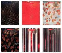 Opakowanie Torba prezentowa TCR-2 MIX AVANTI