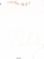 Opakowanie Torba TO-3 okolicznościowa MIX AVANTI