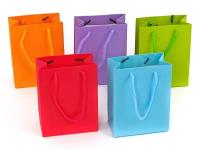 Opakowanie Torebka prezentowa 16x12x7cm