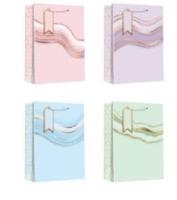 Opakowanie Torebka prezentowa 26x32cm (12szt)