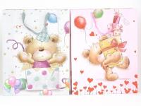 Opakowanie Torebka prezentowa 55x43x15cm