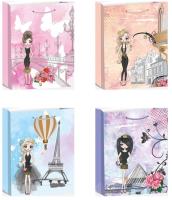 Opakowanie Torebka prezentowa L