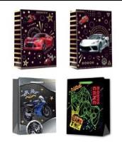 Opakowanie Torebka prezentowa L