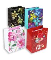 Opakowanie Torebka prezentowa laminowana 17x25x10cm (12szt)