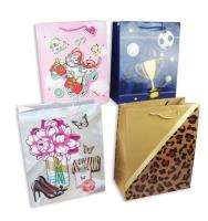 Opakowanie Torebka prezentowa laminowana 32x26x13cm (12szt)