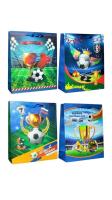 Opakowanie Torebka prezentowa M Piłka nożna