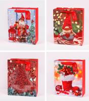 Opakowanie Torebka upominkowa KR 4450 L