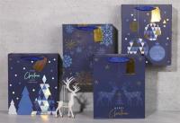 Opakowanie Torebka upominkowa KR 8753 L